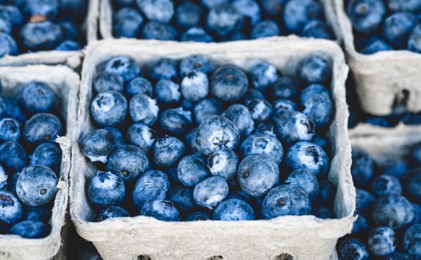 blueberries in article by erin moore about nutrition and energy