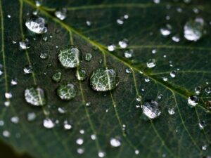 leaf boundaries for empaths how and why