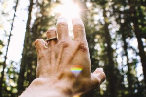 hand reaching toward sun in forest in blog by Erin S Moore, Centered One about absorbing energy