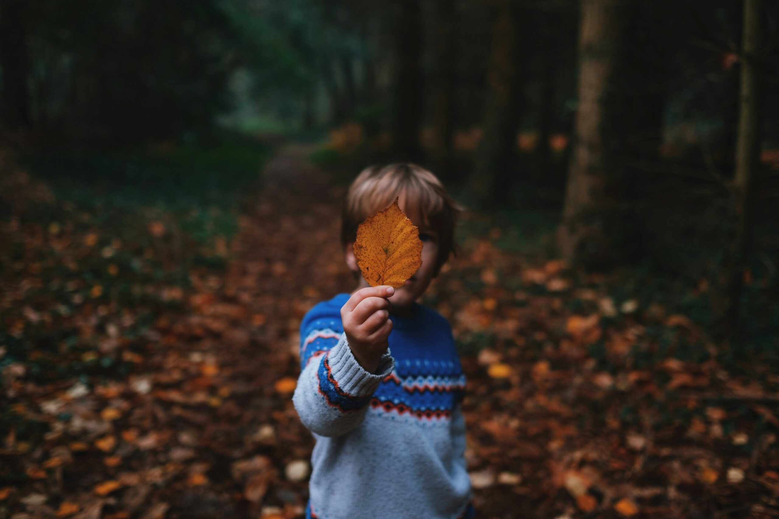 boy with leaf in blog about repressed childhood trauma in adults by erin moore centered one