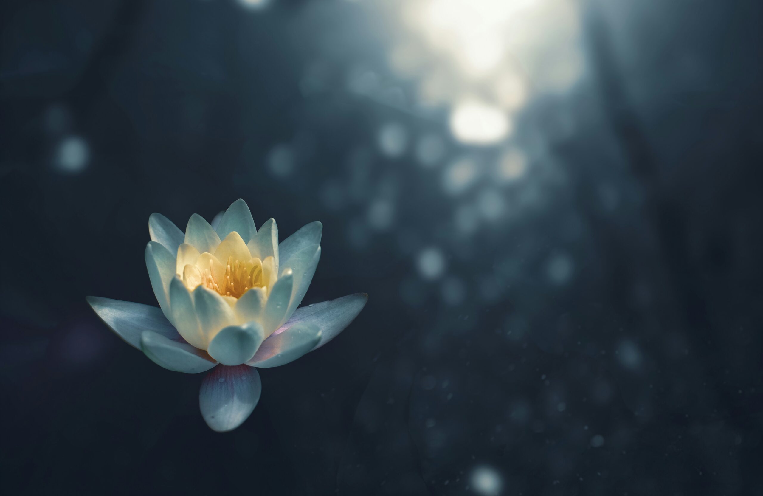 Mindfulness Meditation For Intrusive Thoughts